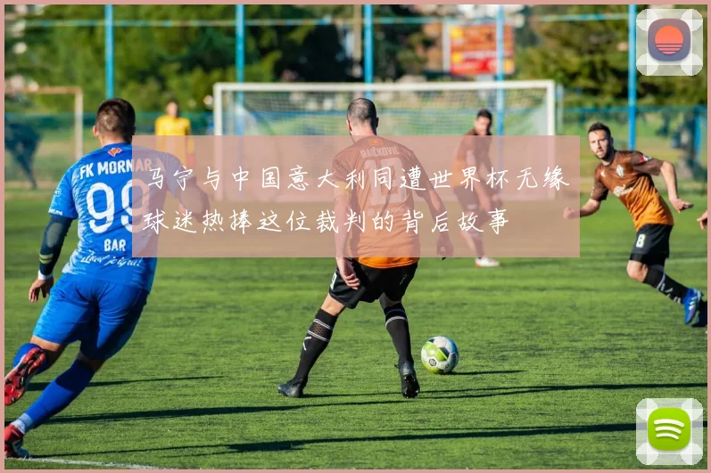 马宁与中国意大利同遭世界杯无缘球迷热捧这位裁判的背后故事